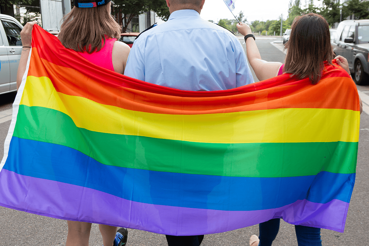 Diversity and Inclusion flag held by 3 people